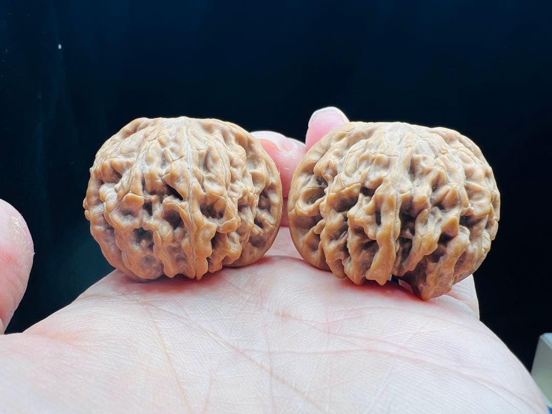 文玩堂：「2025年、市場で最も人気のある胡桃の一つ、饕餮紋獅子頭。」