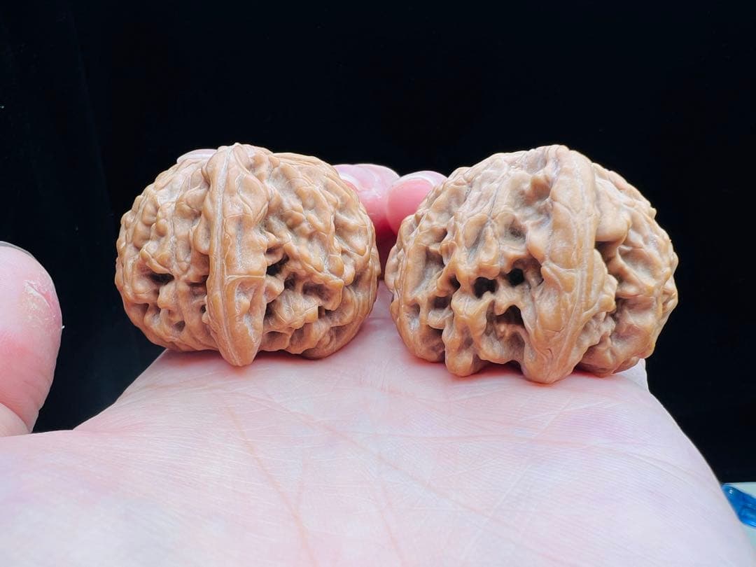 文玩堂：「2025年、市場で最も人気のある胡桃の一つ、饕餮紋獅子頭。」