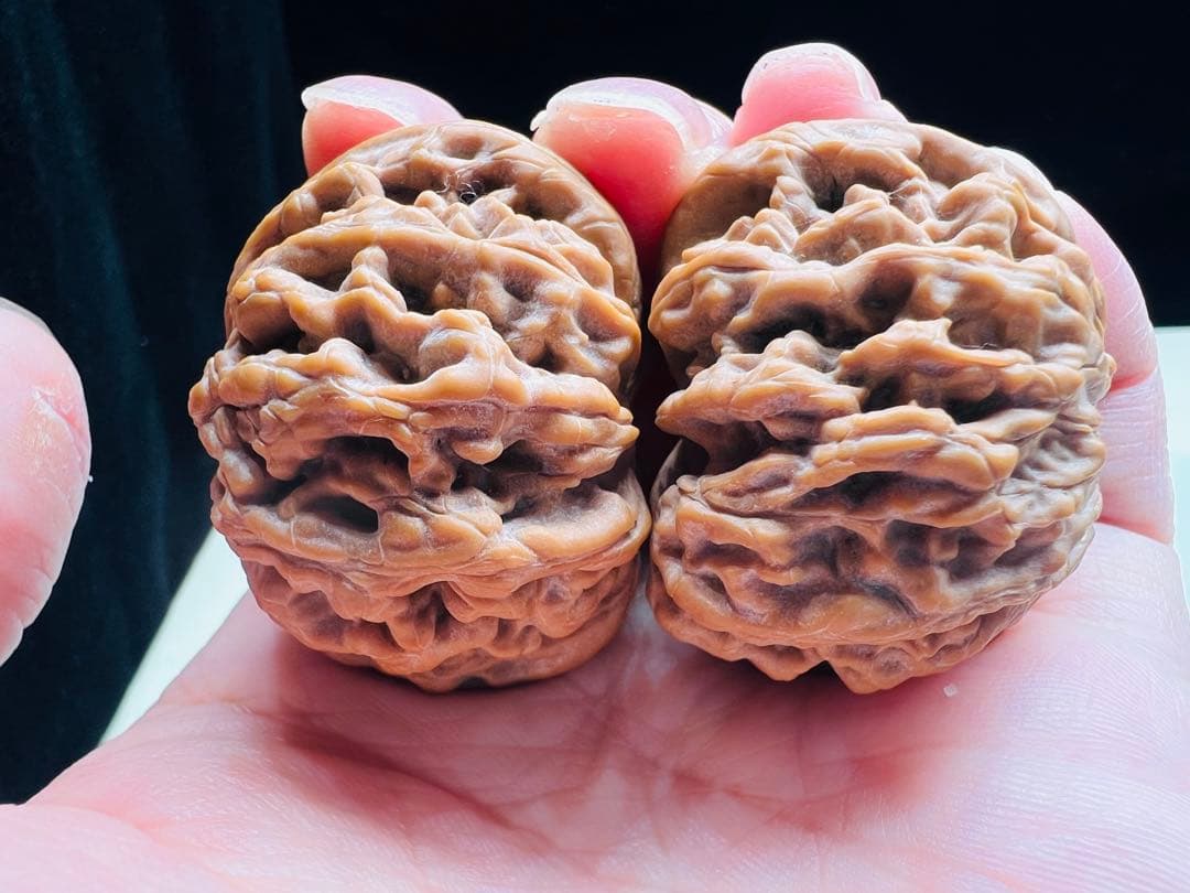 文玩堂：「2025年、市場で最も人気のある胡桃の一つ、饕餮紋獅子頭。」