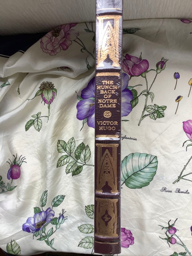 Hunch Back of Norte Dame V Hugo ノートルダムの鐘