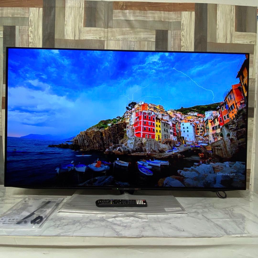 筋肉モリモリのワンちゃんさん専用。直接受渡シャープ 55インチ 有機ELテレビ