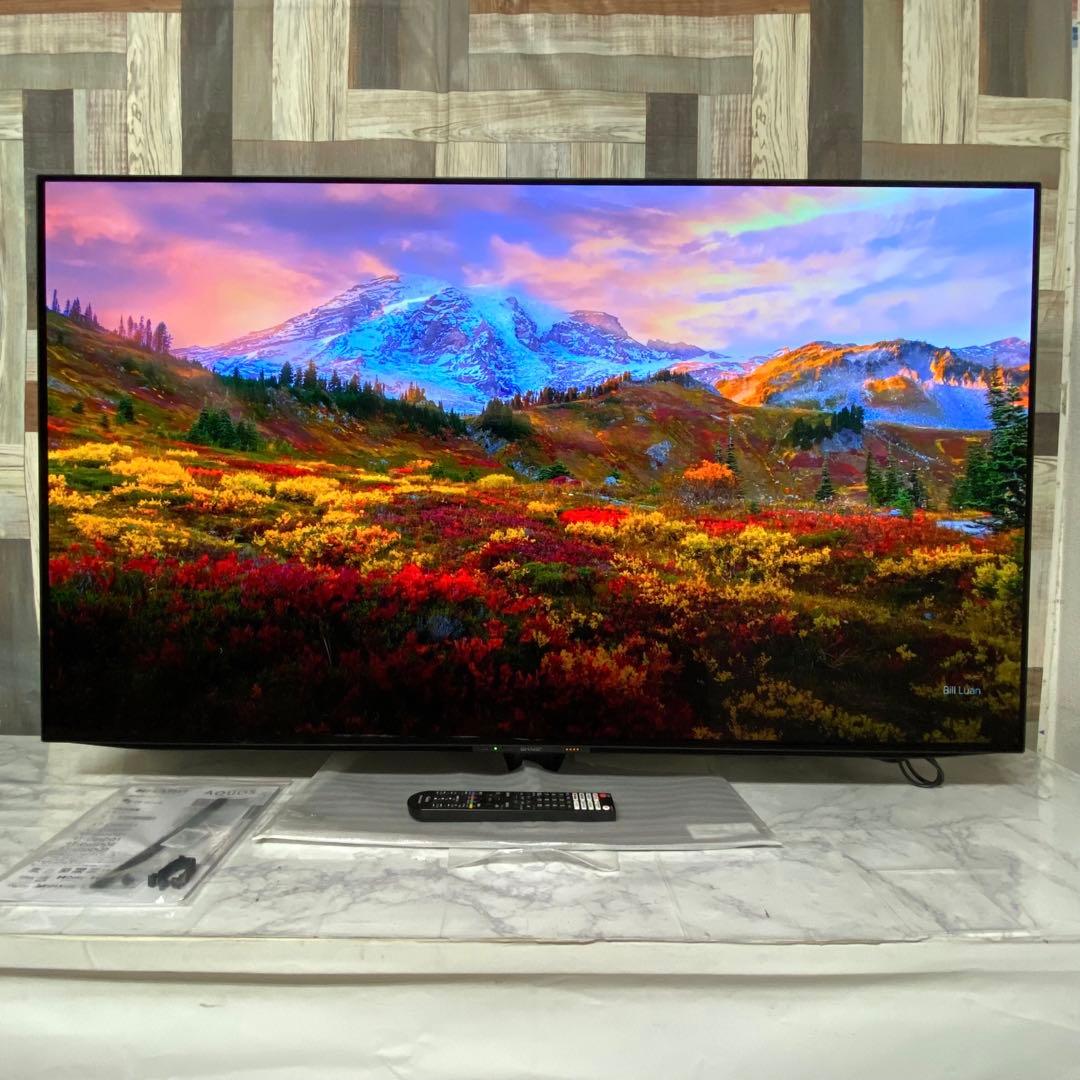 筋肉モリモリのワンちゃんさん専用。直接受渡シャープ 55インチ 有機ELテレビ