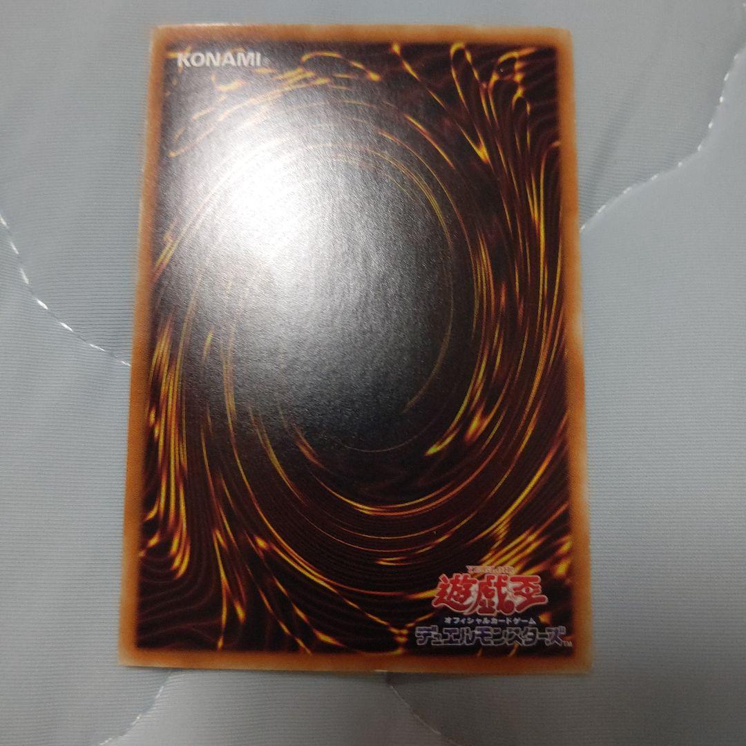 よ*ー様 青眼の白龍ホロ