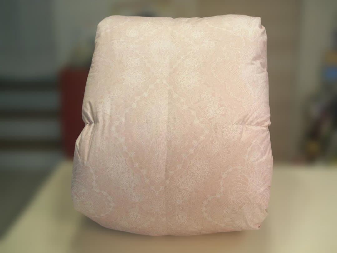 （ダブル）新品＊四つ星エクセル＊フランス産１，７キロ増量＊二層式羽毛布団