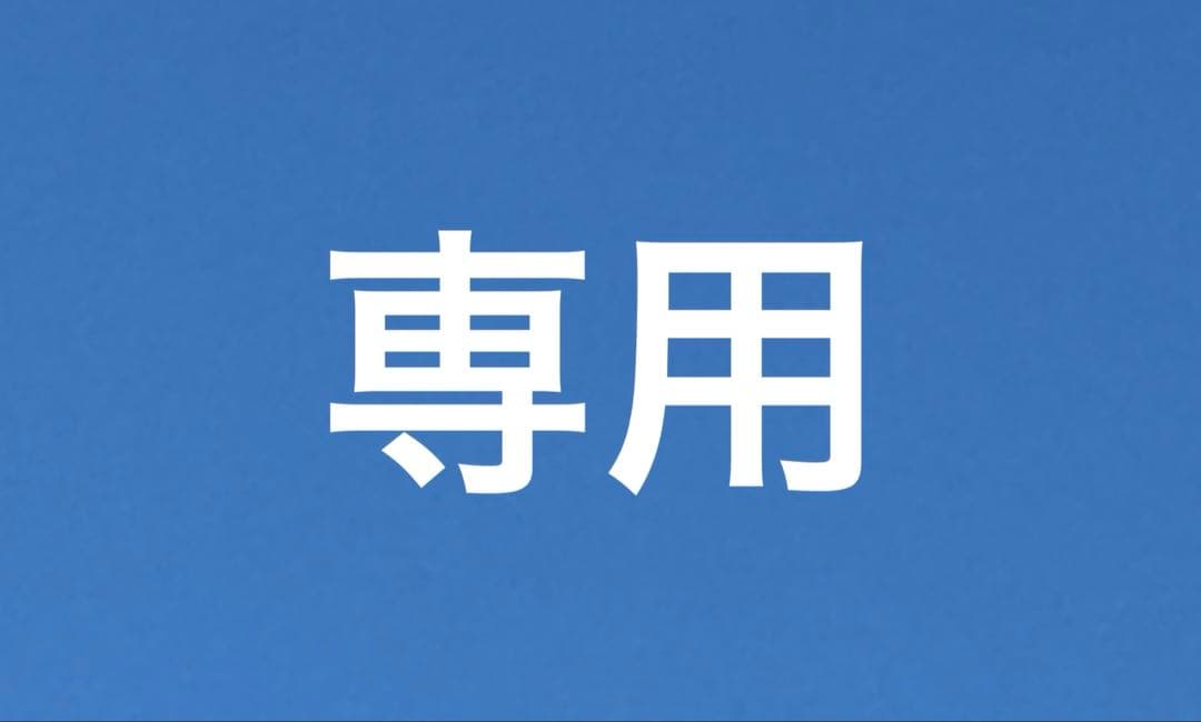 24ページ ゴッホ展 ピカチュウ2枚セット！