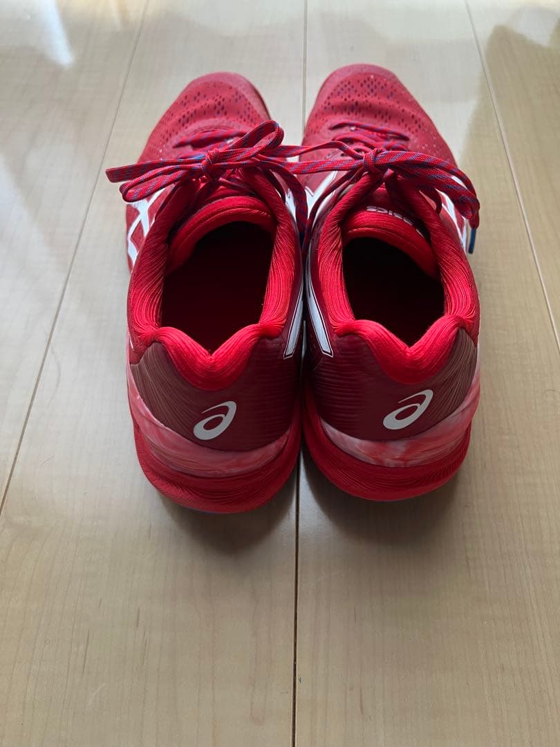 asics スカイエリート　限定色(27.5センチ)