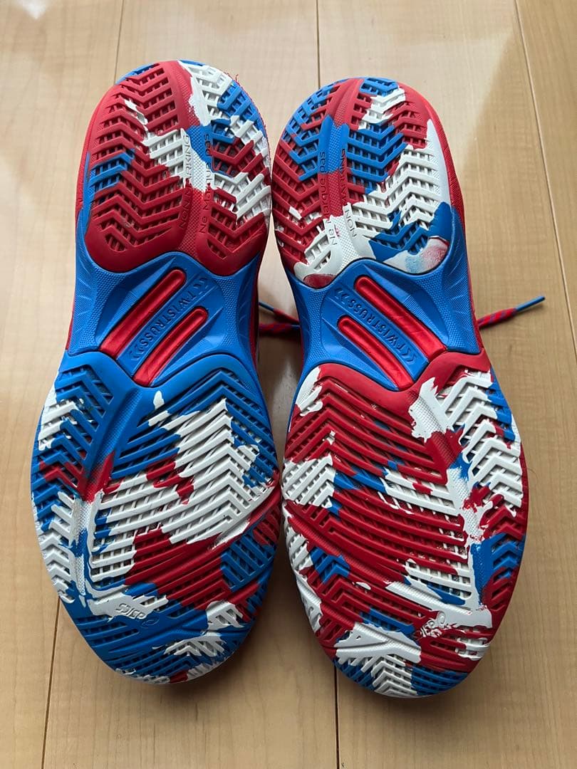 asics スカイエリート　限定色(27.5センチ)