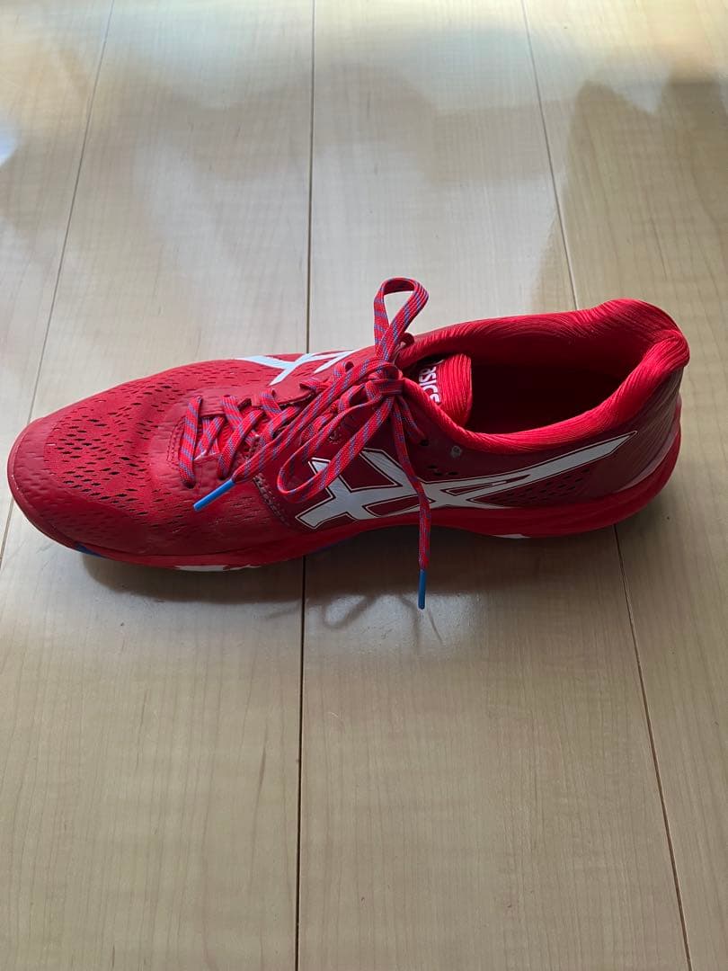 asics スカイエリート　限定色(27.5センチ)