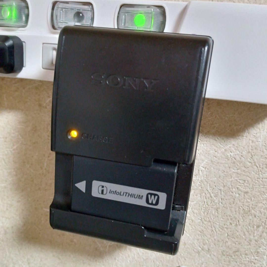 通電確認 SONY α55 SLT-A55V ソニー デジタル一眼レフ カメラ