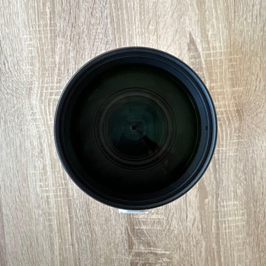 トシ様Canon EF100-400mm F4.5-5.6L IS II USM