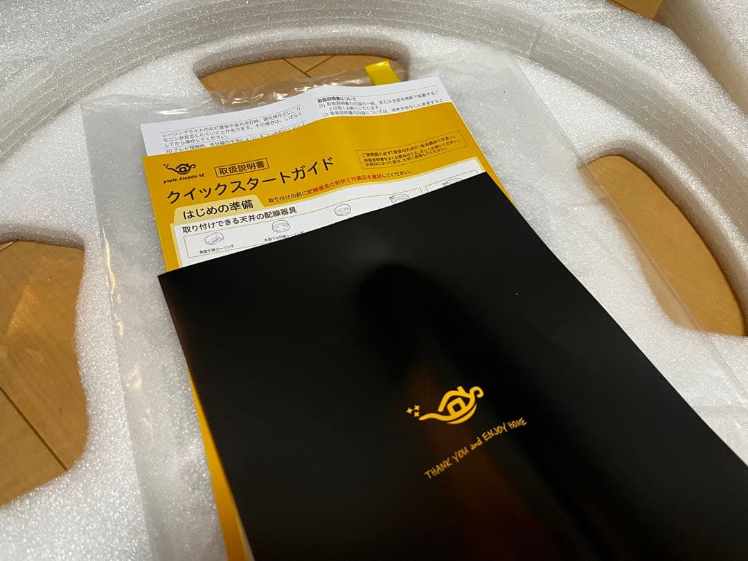 【値下げ・美品・中古】popIn Aladdin SE プロジェクター本体