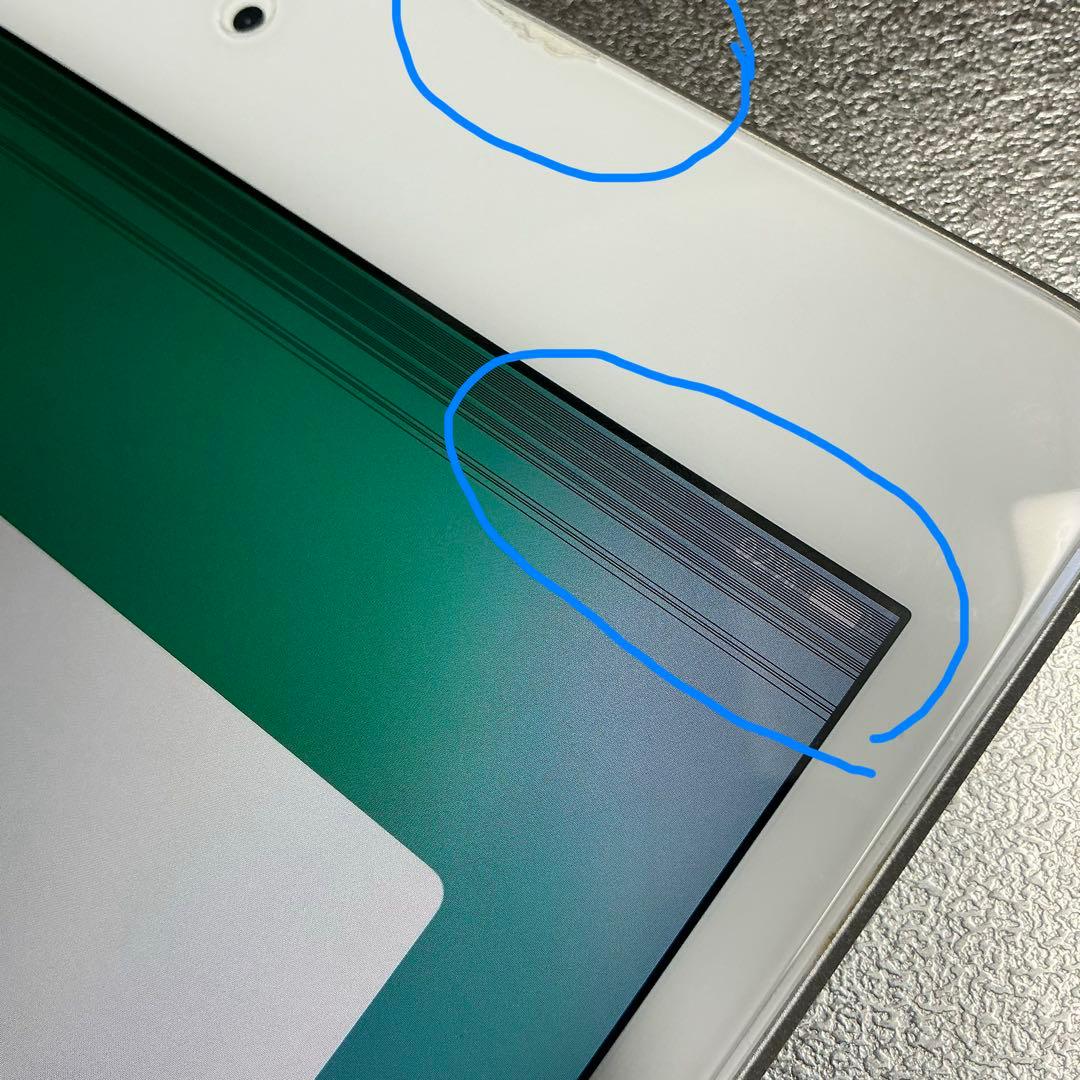 iPad mini 256G 第5世代　若干の画面不具合あり