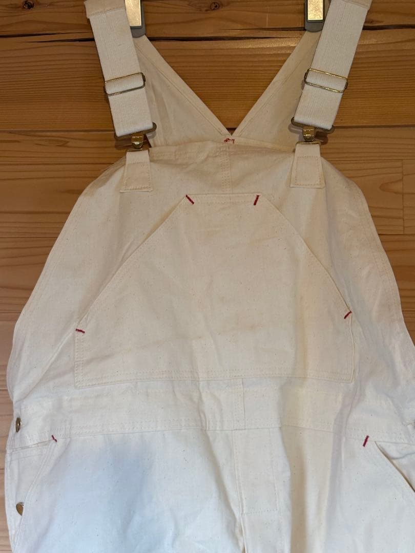 Carhartt オーバーオール プリントタグ　山ポケット デッドストック