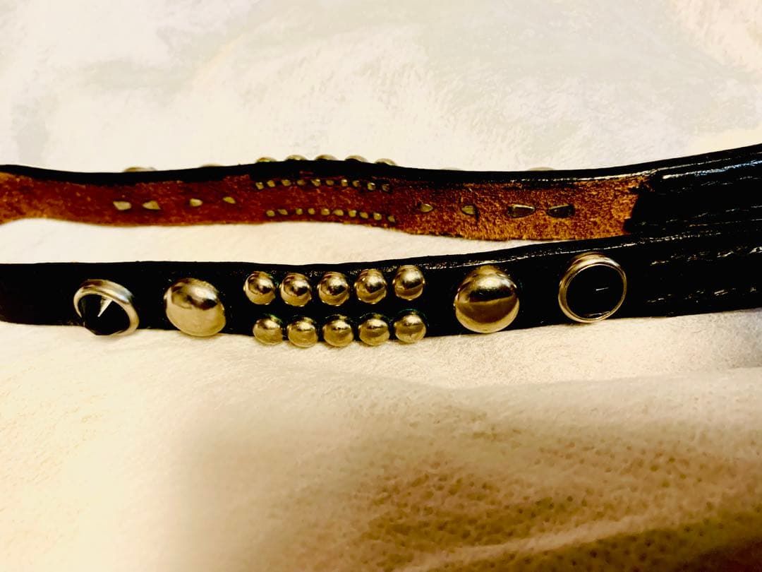 WOLF'S HEAD　ウルフズヘッド　ウォレットコード