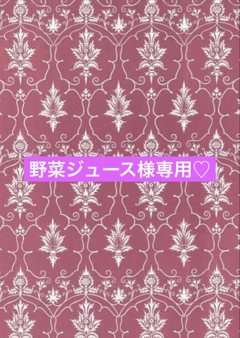 野菜ジュース 加熱式タバコ用ハードケース アーカードモデル 2種セット