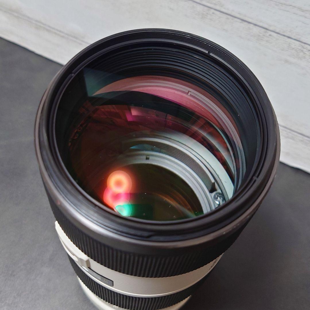 SONY ズームレンズ 70-200mm F2.8 G SSM II