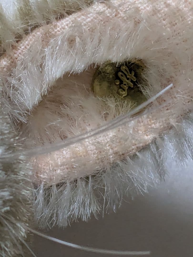 シュタイフラビット