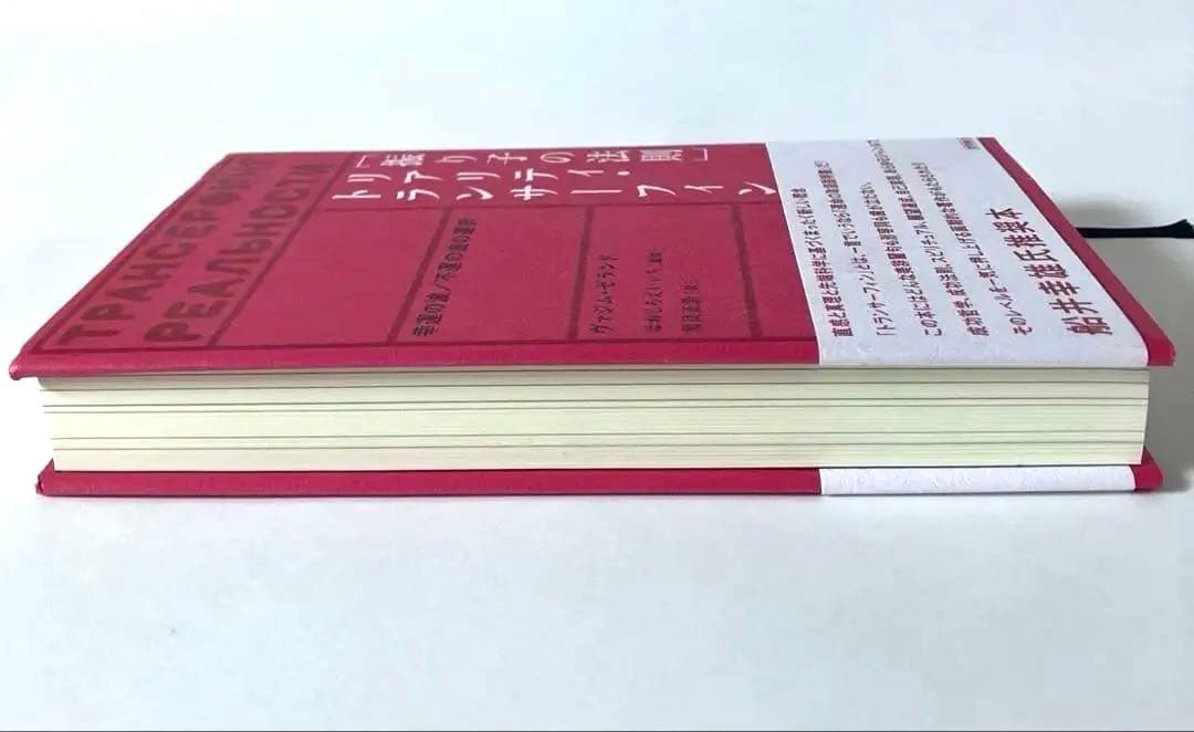 【美品】「振り子の法則」リアリティ・トランサーフィン:幸運の波/不運の波の選択