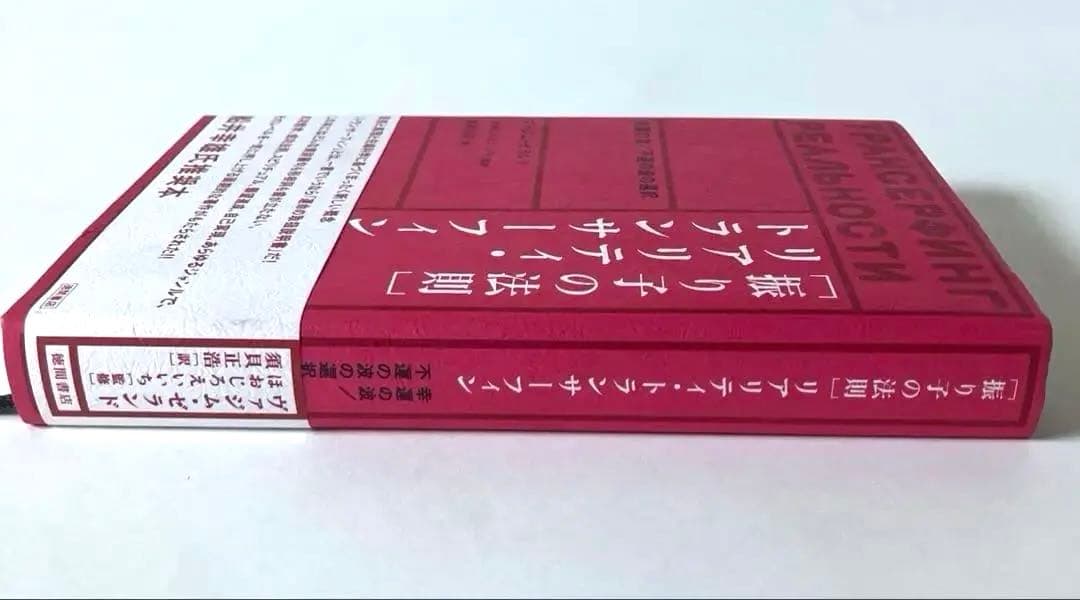 【美品】「振り子の法則」リアリティ・トランサーフィン:幸運の波/不運の波の選択