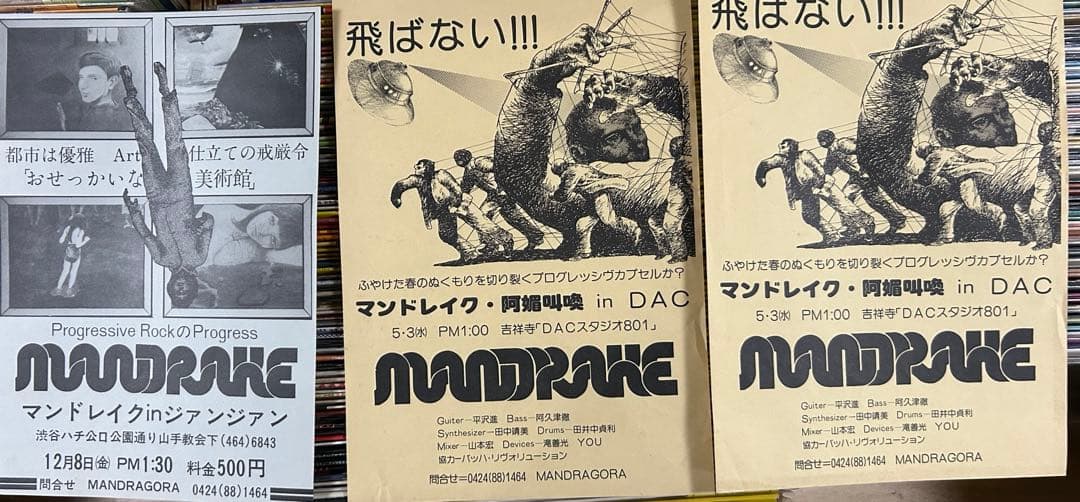 MANDRAKE マンドレイク　フライヤー　チラシ　3枚セット