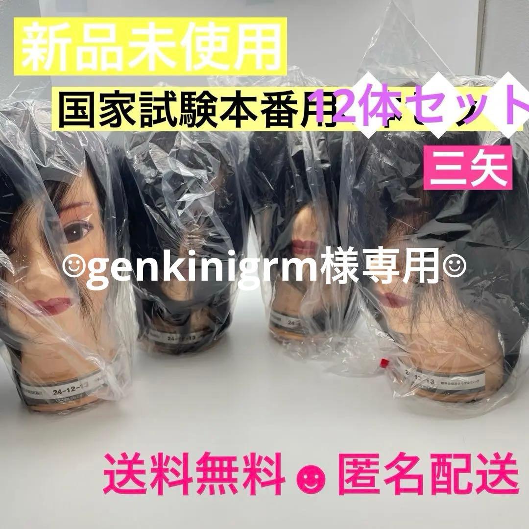 カットウィッグ　カットマネキン　国家試験　三矢　新品未使用