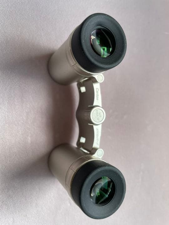 Carton ATTRAIT-J 5×15シャンパンゴールド日本製