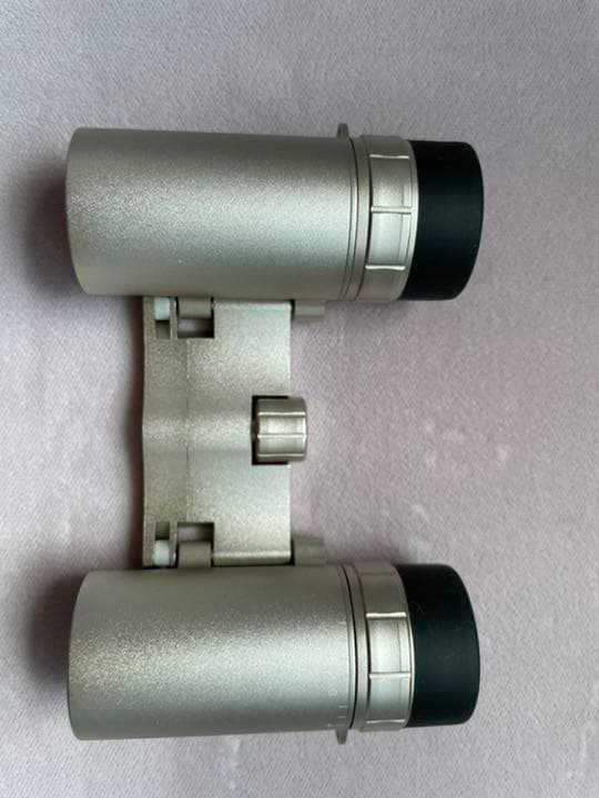 Carton ATTRAIT-J 5×15シャンパンゴールド日本製