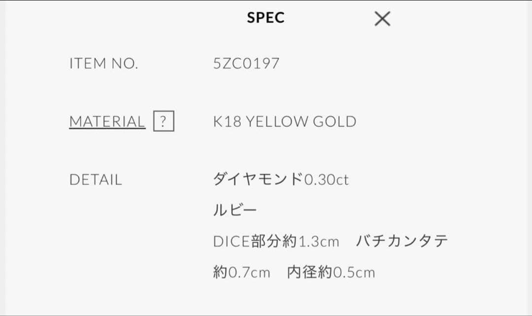 BB　新品同様 SJX BIG DICE CHARM