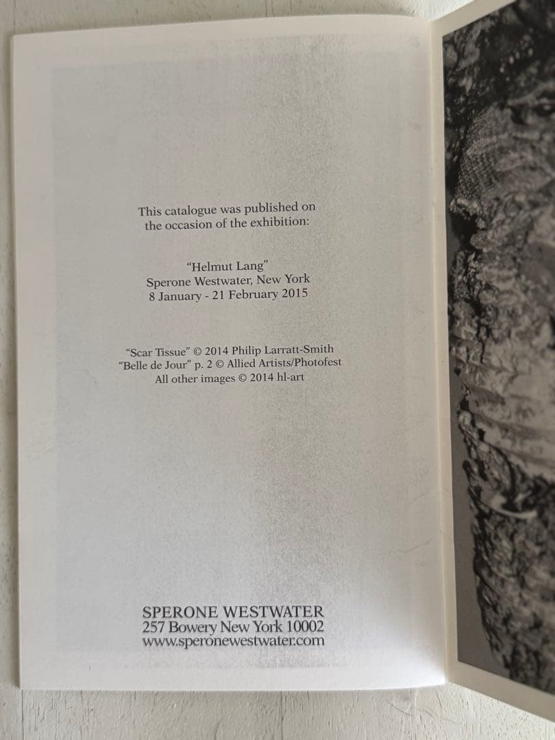 helmut lang カタログ　美術