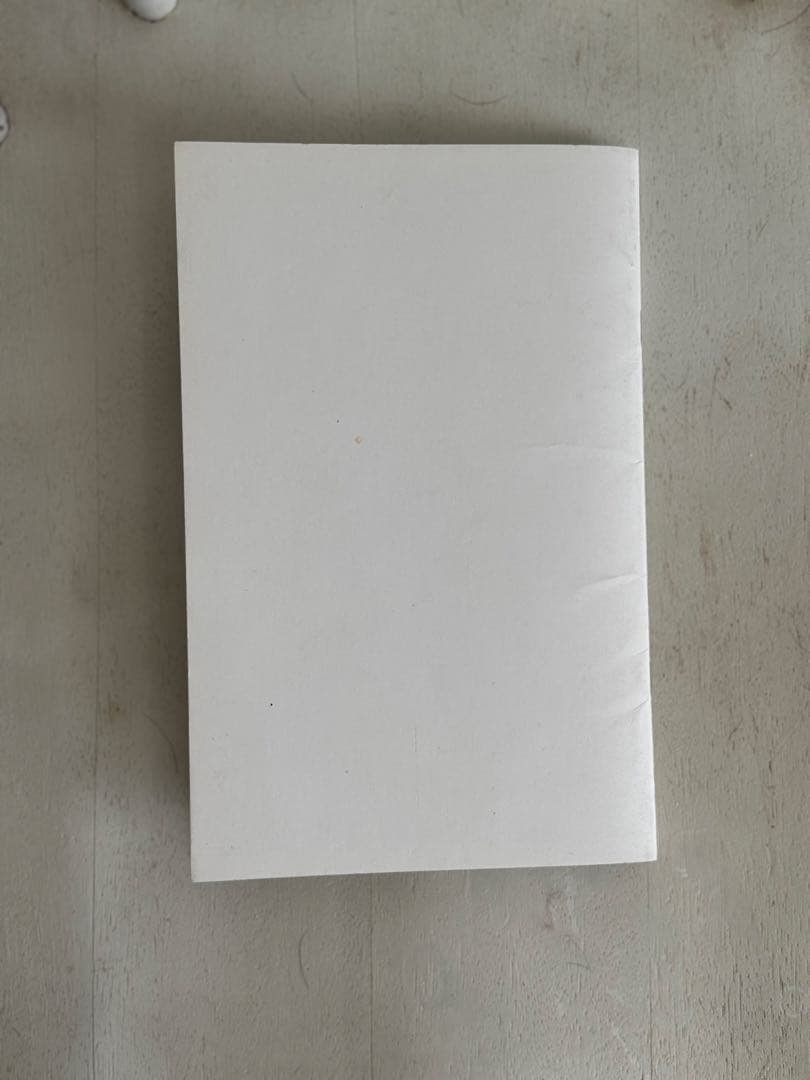 helmut lang カタログ　美術