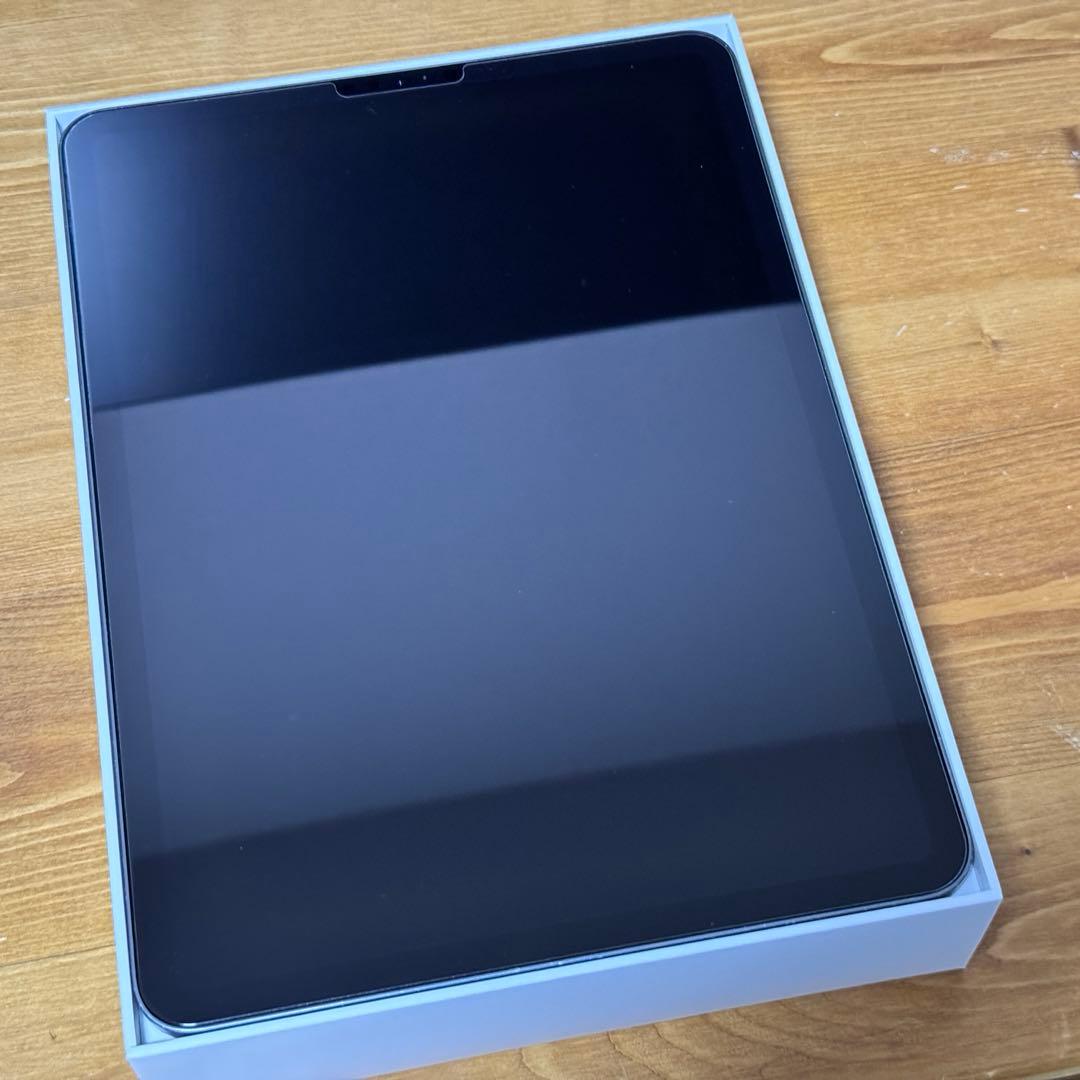 11インチ iPad Pro（第2世代）Wi-Fi 256GB + pen