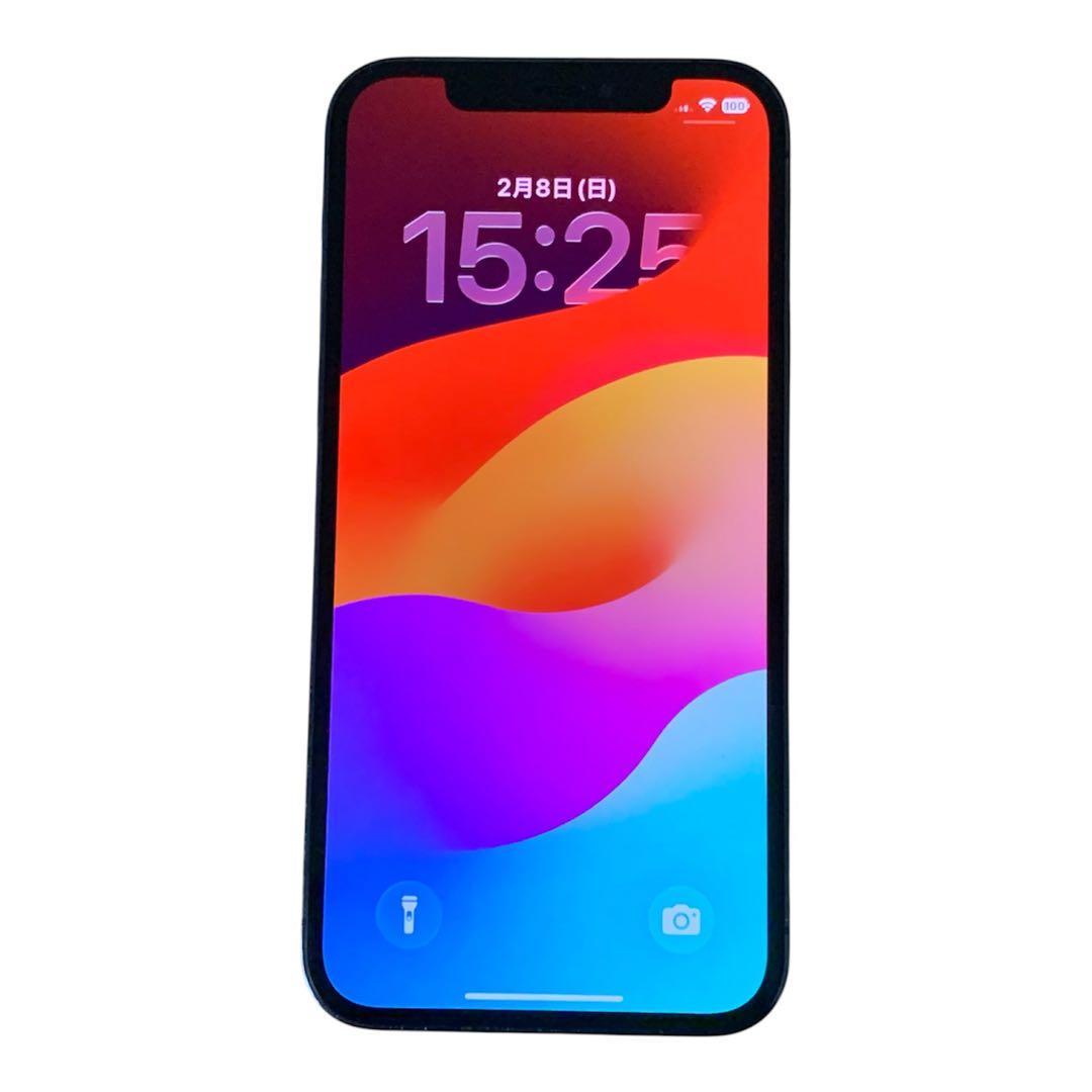 iPhone 12 Pro グラファイト 256GB SIMフリー BT100%