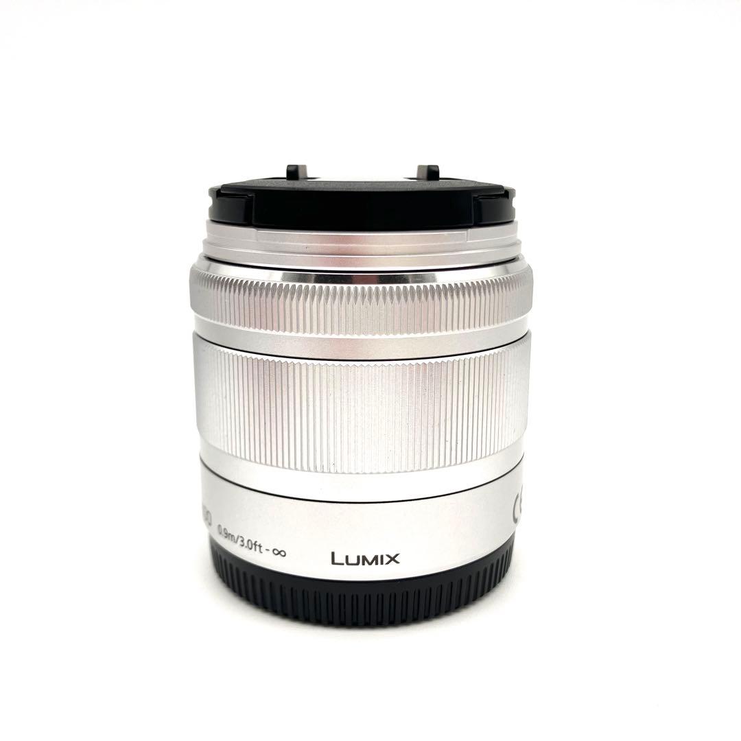 美品 Panasonic LUMIX G VARIO 35-100mm