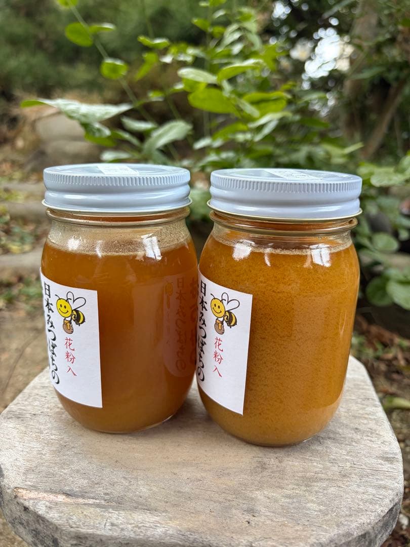 ハチミツ　日本蜜蜂の蜂蜜　奥山の奥のはちみつ　花粉入り結晶化