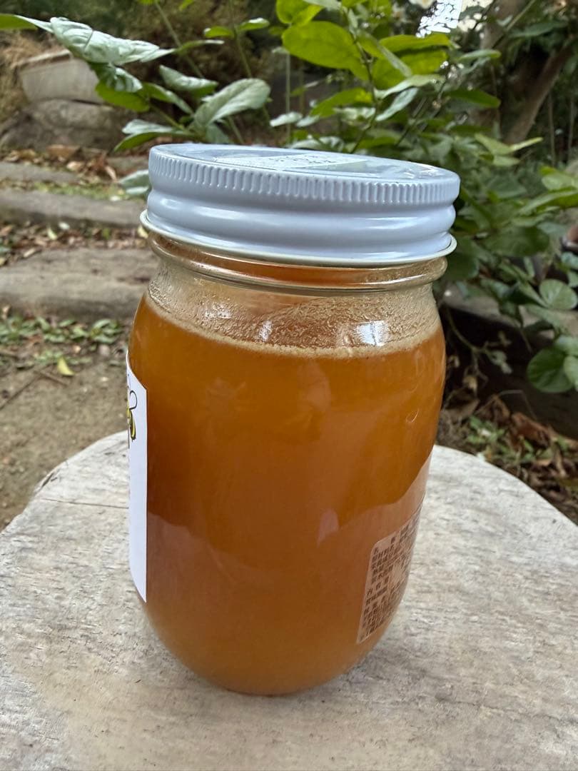 ハチミツ　日本蜜蜂の蜂蜜　奥山の奥のはちみつ　花粉入り結晶化