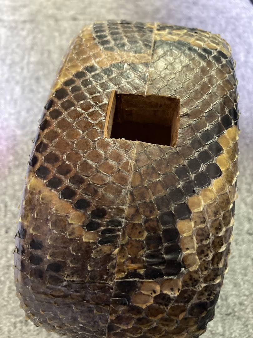 三線チーガ　胴　本皮1枚張り