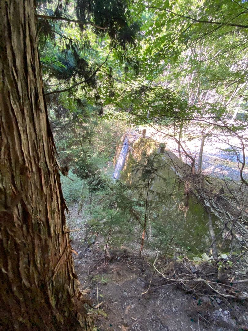 ハチミツ　日本蜜蜂の蜂蜜　巣箱の違うはちみつ　奥山の奥