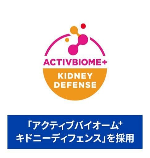 ヒルズ プリスクリプションダイエット【腎臓ケア】キャットフードドライ２kg×２個