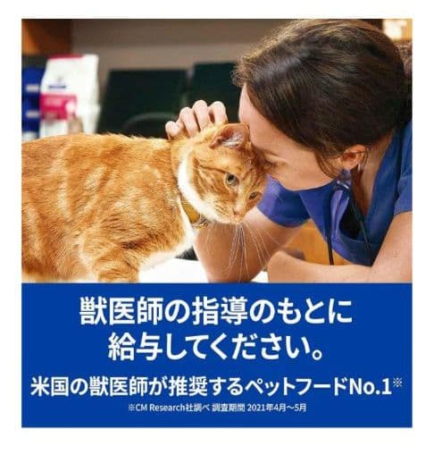 ヒルズ プリスクリプションダイエット【腎臓ケア】キャットフードドライ２kg×２個
