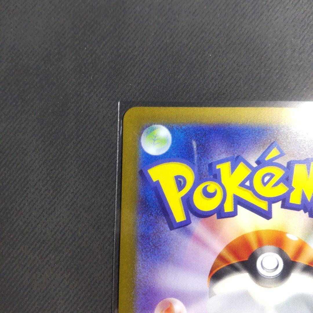 最終価格。ナンジャモのハラバリー　SAR　【美品】