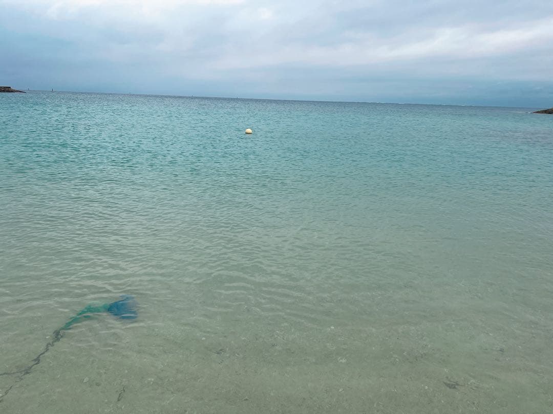 トライアルセット・サンプル jonathan norganic