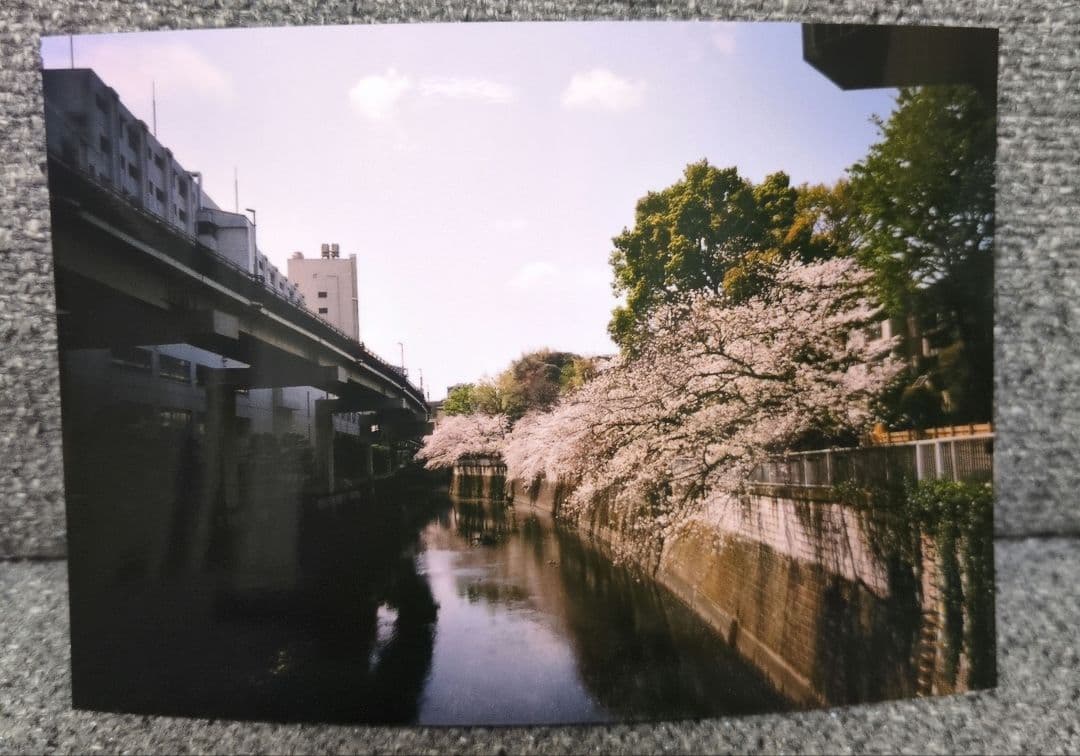 RICOH　GR1s リコー　フィルムカメラ　動作確認済