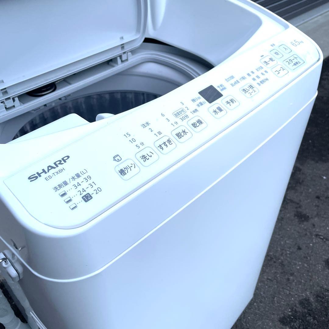 美品使用半年 シャープ 縦型洗濯機 6.5kg ES-TX6H-W 2024年製