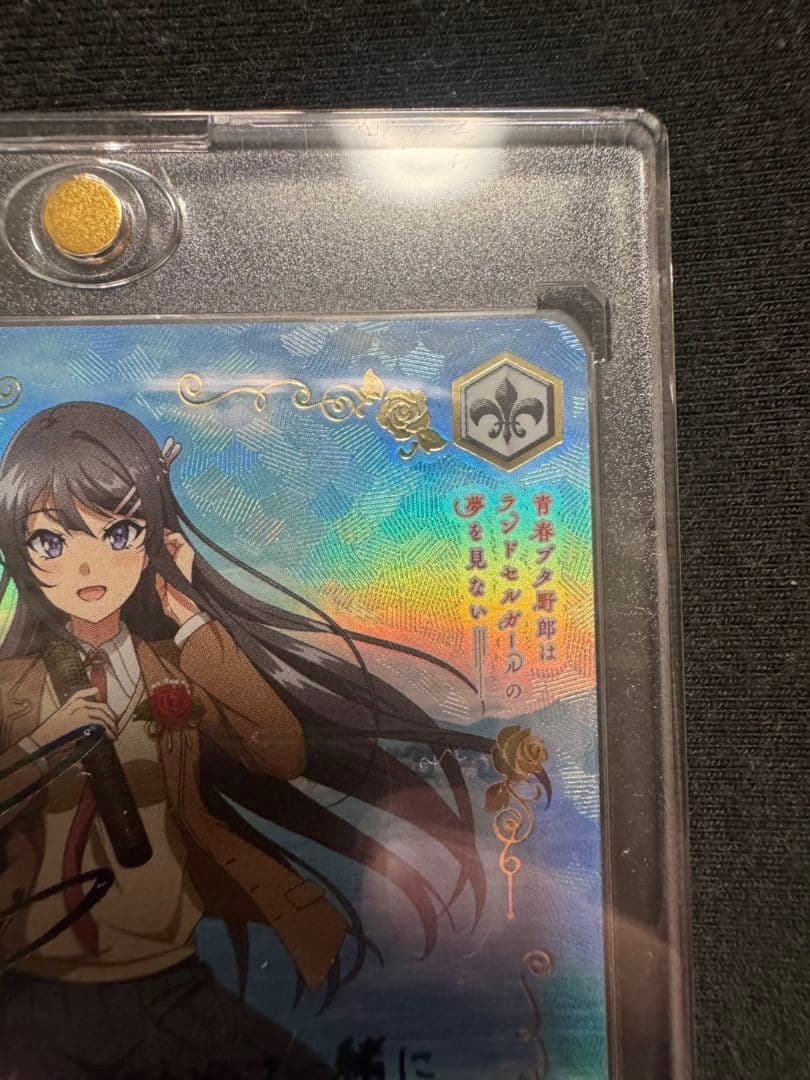 ヴァイスシュヴァルツ　青春ブタ野郎シリーズ　君と過ごした1年間　桜島麻衣　ABR