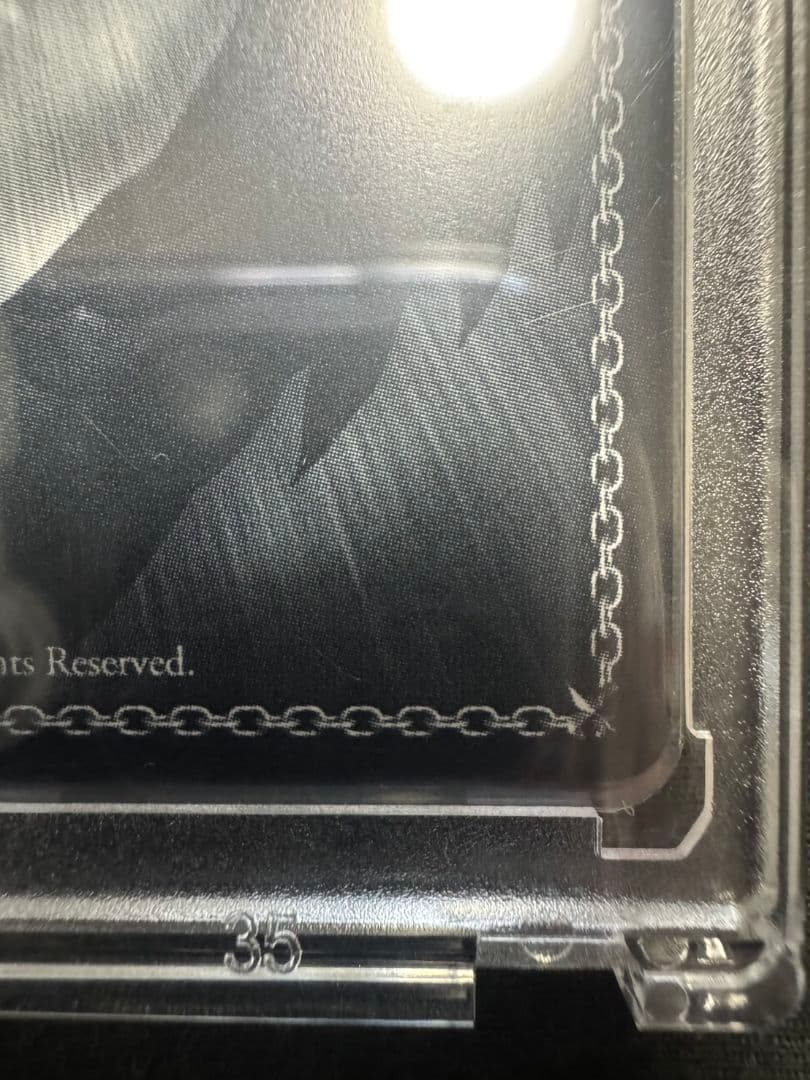 ヴァイスシュヴァルツ　青春ブタ野郎シリーズ　君と過ごした1年間　桜島麻衣　ABR