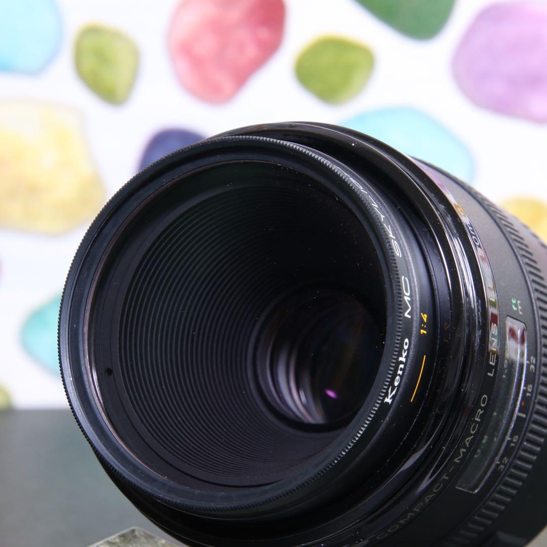 ♥◇Canon EF 50mm F2.5 ◇コンパクトマクロ ◇大人気単焦点♪