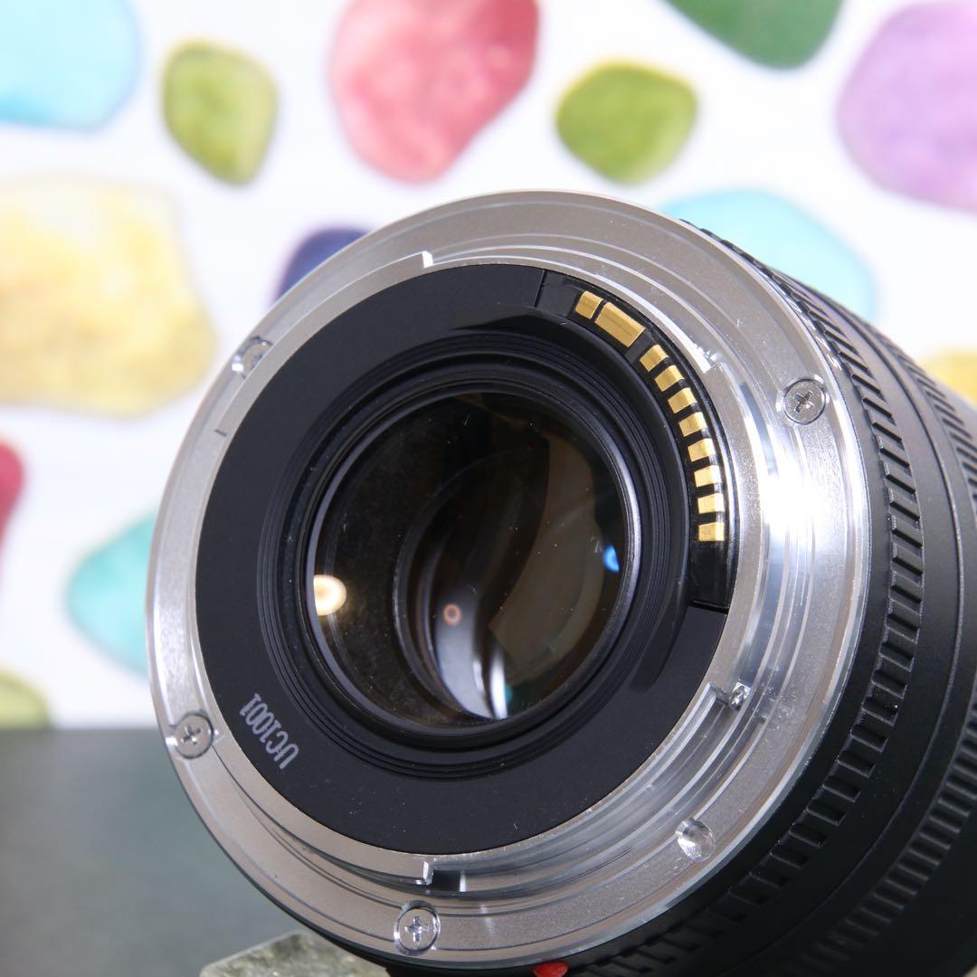 ♥◇Canon EF 50mm F2.5 ◇コンパクトマクロ ◇大人気単焦点♪