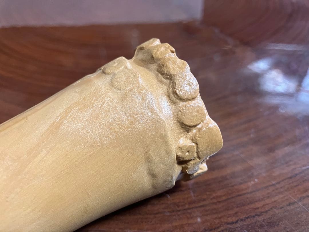 現代尺八奏法講座　練習用教材セット