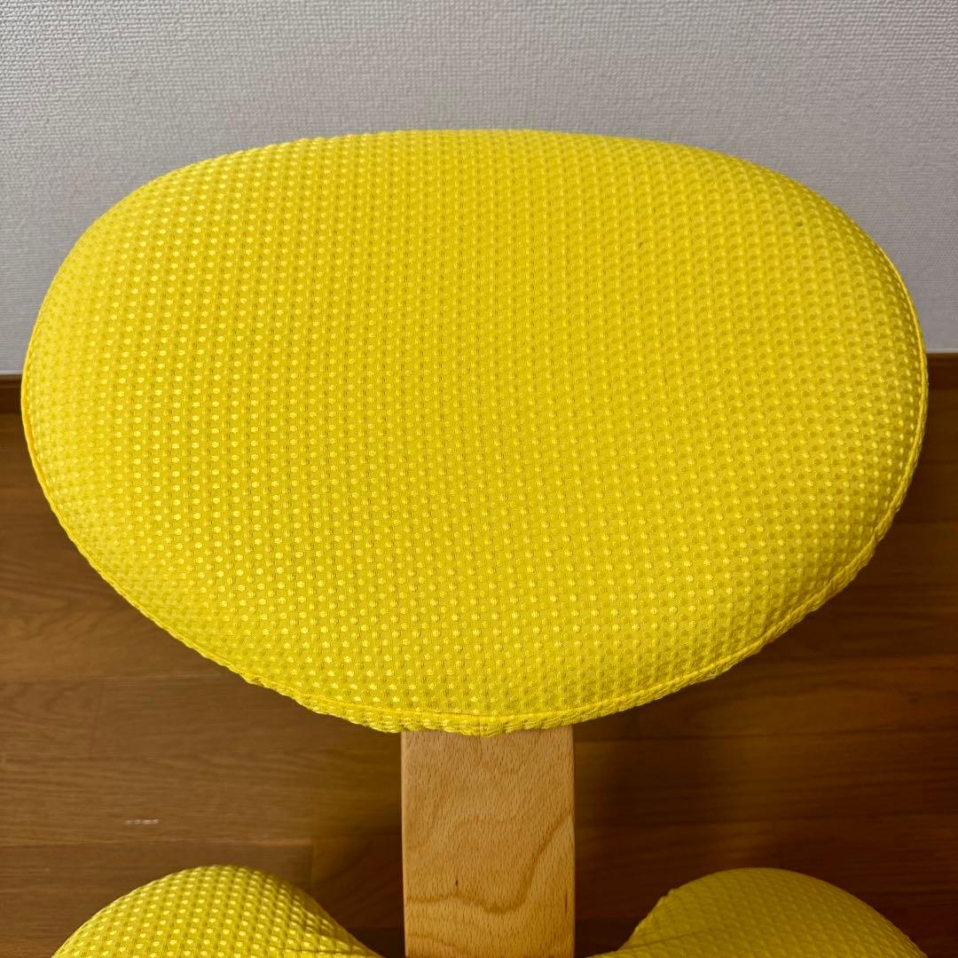 【美品】バランスイージー Rybo リボ社 バランスチェア 姿勢改善 カバー付き