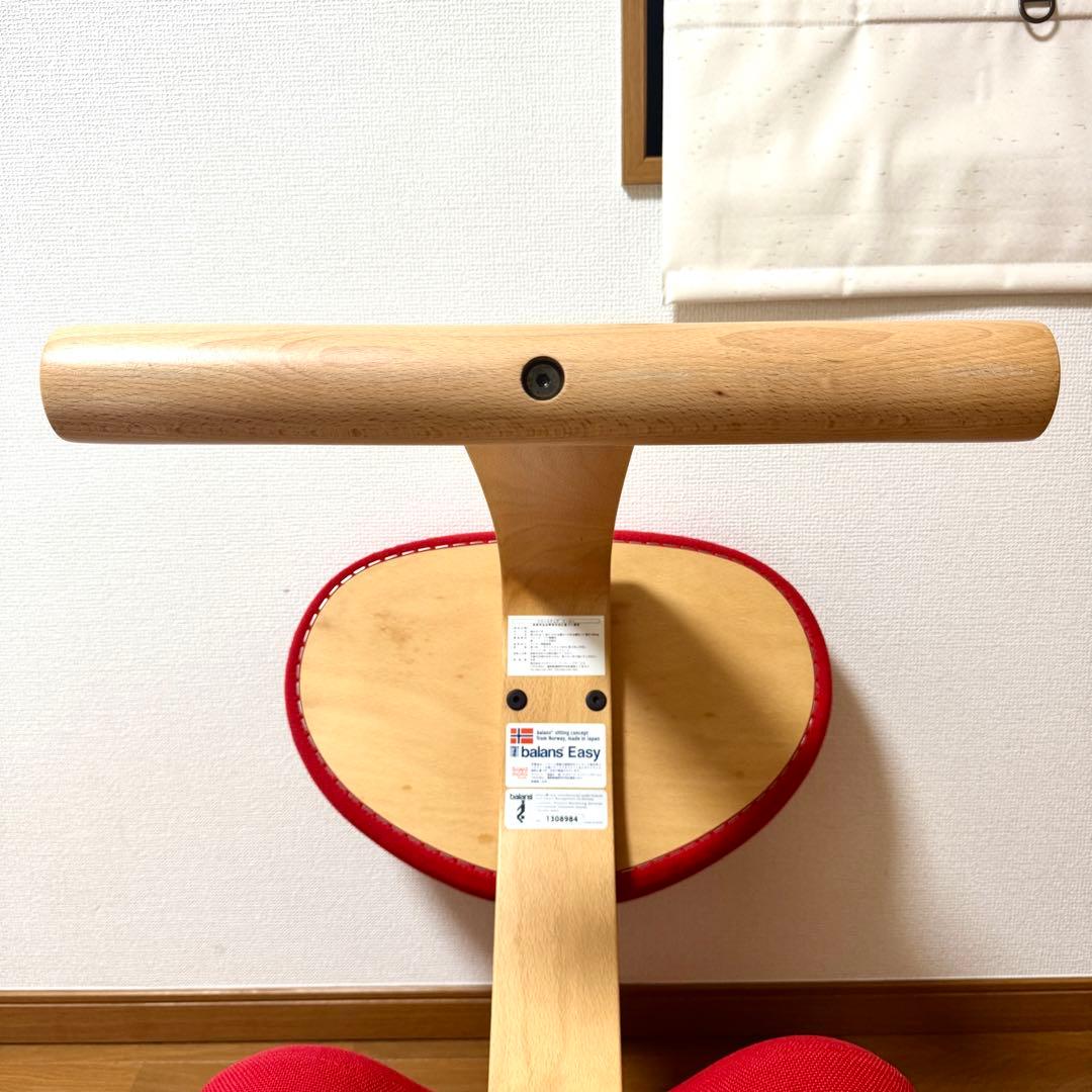【美品】バランスイージー Rybo リボ社 バランスチェア 姿勢改善 カバー付き
